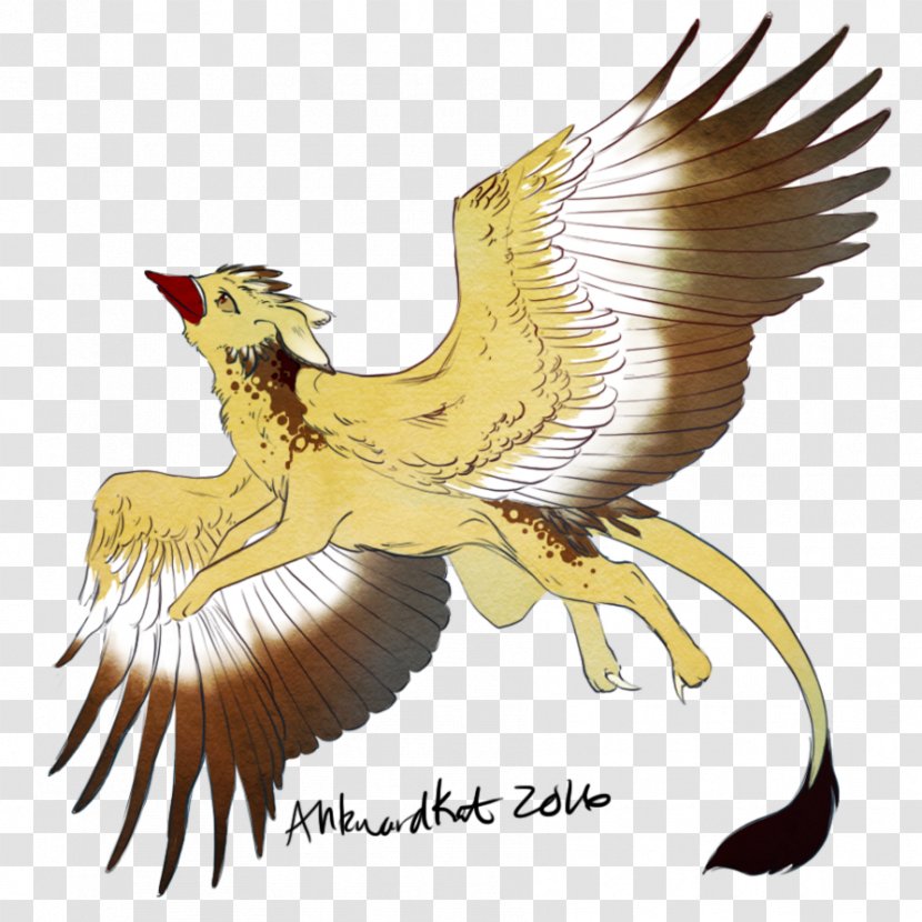 Vulture Eagle Beak Feather Transparent PNG
