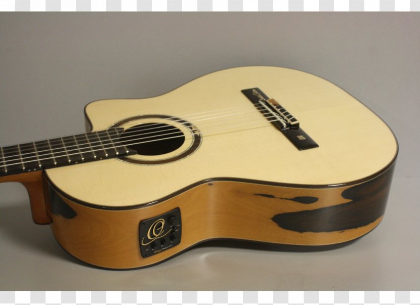 Acoustic Guitar Bass Tiple Cavaquinho Acoustic-electric - Tree Transparent PNG