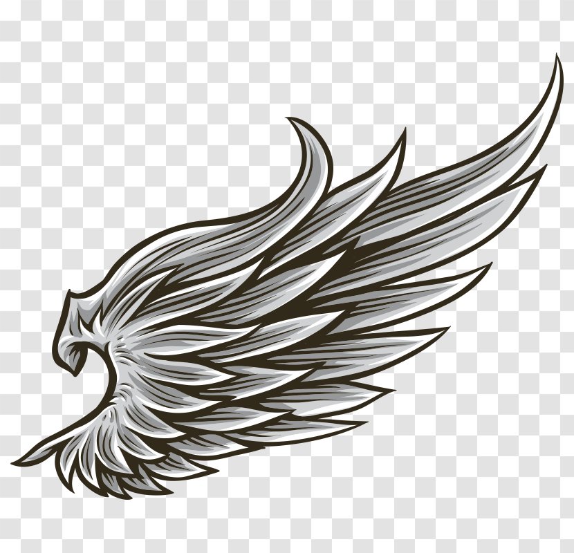 Drawing Angel Wing Transparent PNG