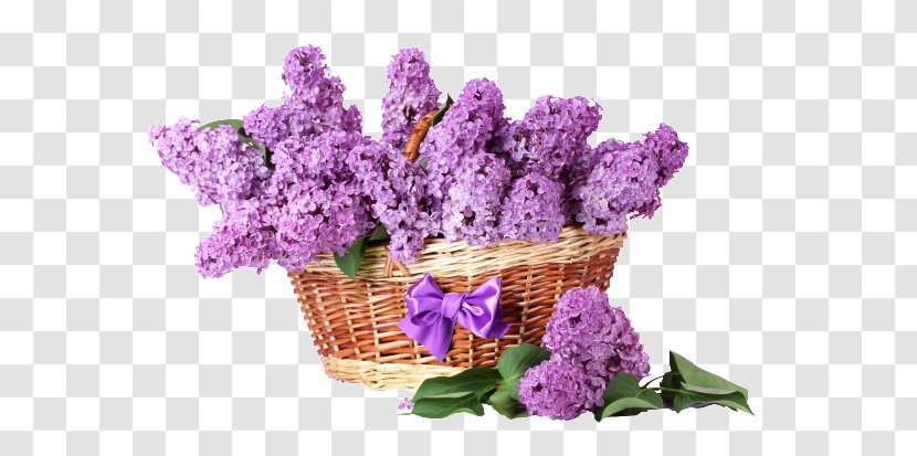 Cut Flowers Basket Lilac Purple - Of Transparent PNG