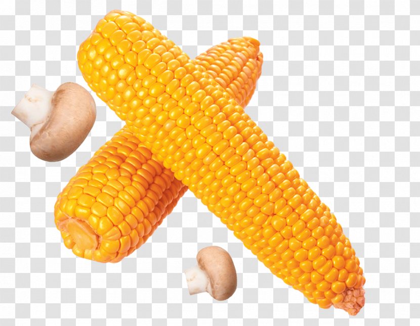 Corn On The Cob Flint Sweet Cereal - Golden Ear Of Transparent PNG