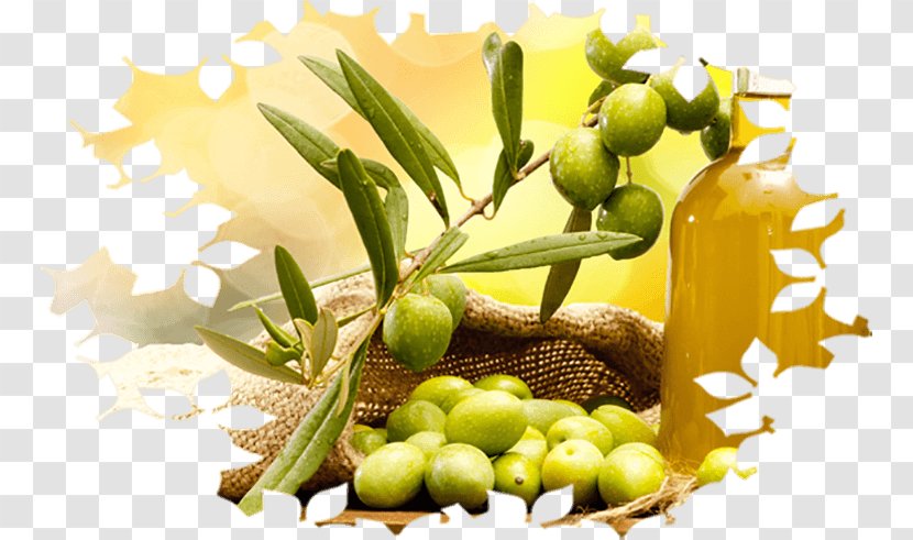 Olive Oil Cooking Oils - Wine Transparent PNG