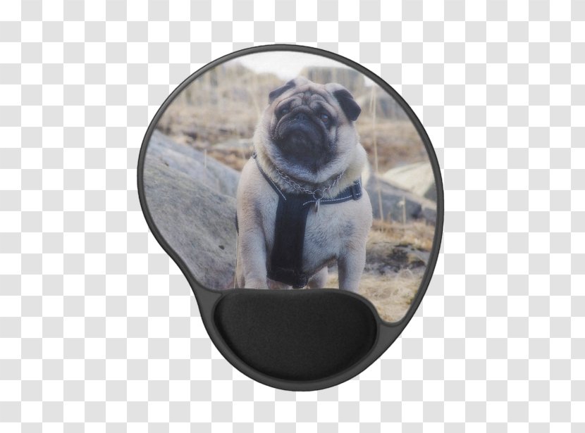 Pug Dog Breed Samsung Galaxy S5 Toy Snout - Like Mammal - Watercolor Transparent PNG