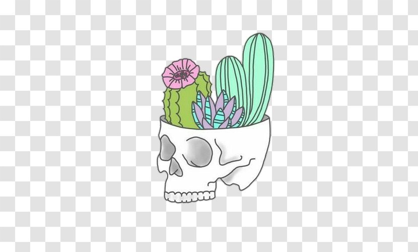 Cactaceae Sticker Succulent Plant Drawing Clip Art - Flowering - Skull Transparent PNG