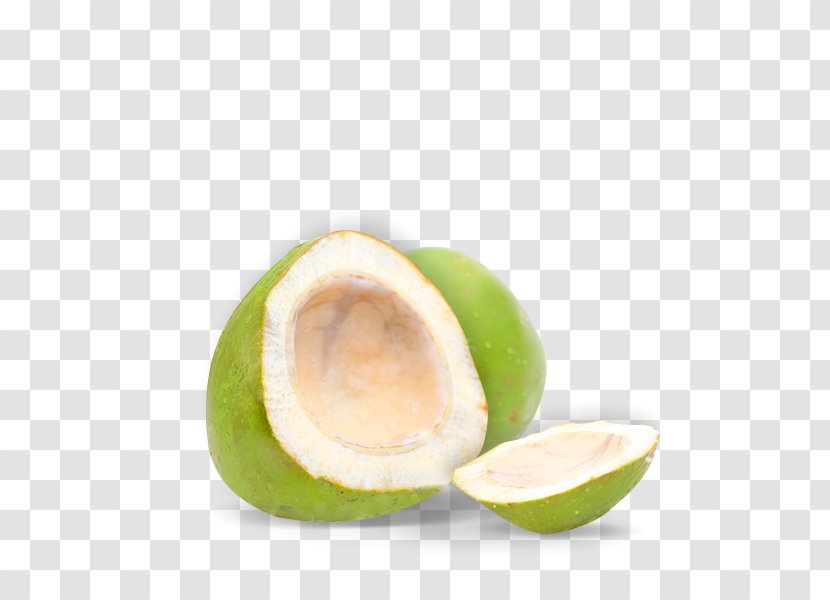 Coconut Water Juice Avocado Cocktail Fruit Transparent PNG