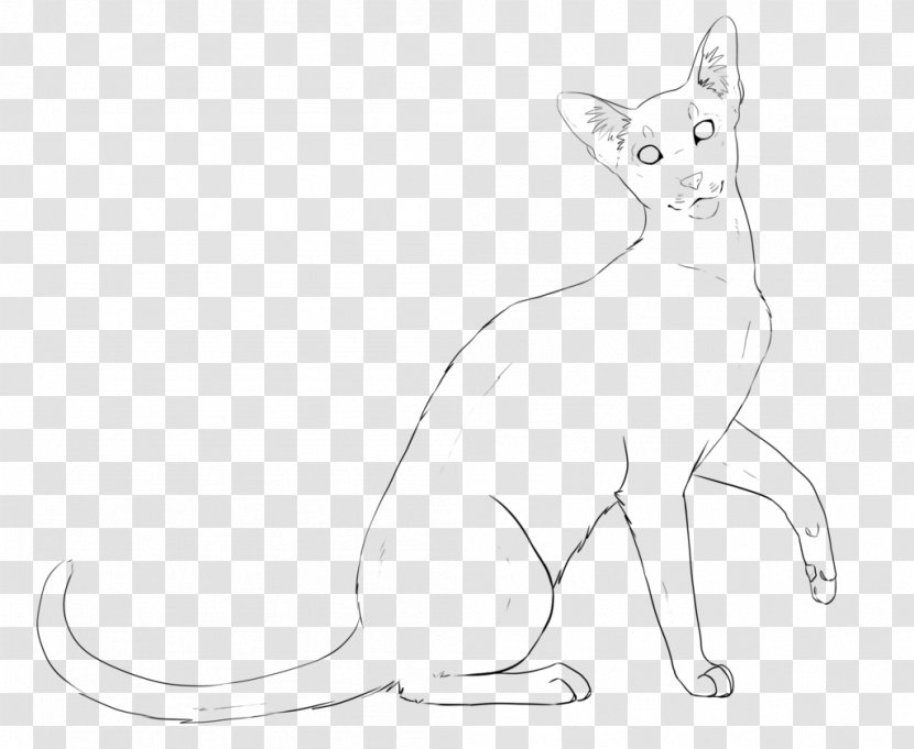 Oriental Shorthair British Javanese Cat Line Art Drawing - Fauna Transparent PNG