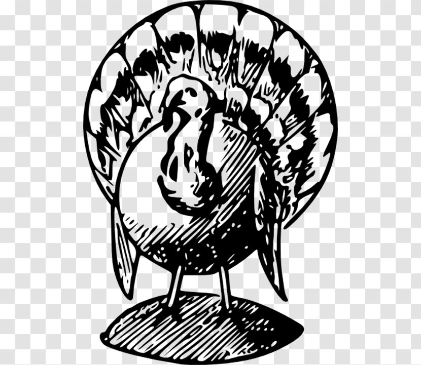 Black Turkey Broad Breasted White Meat Clip Art - Thanksgiving Transparent PNG