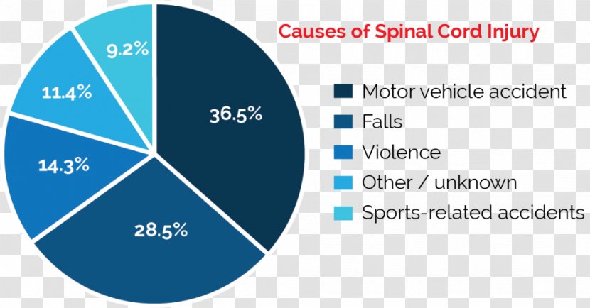 Spinal Cord Injury Medicine Vertebral Column - National Pattern Transparent PNG