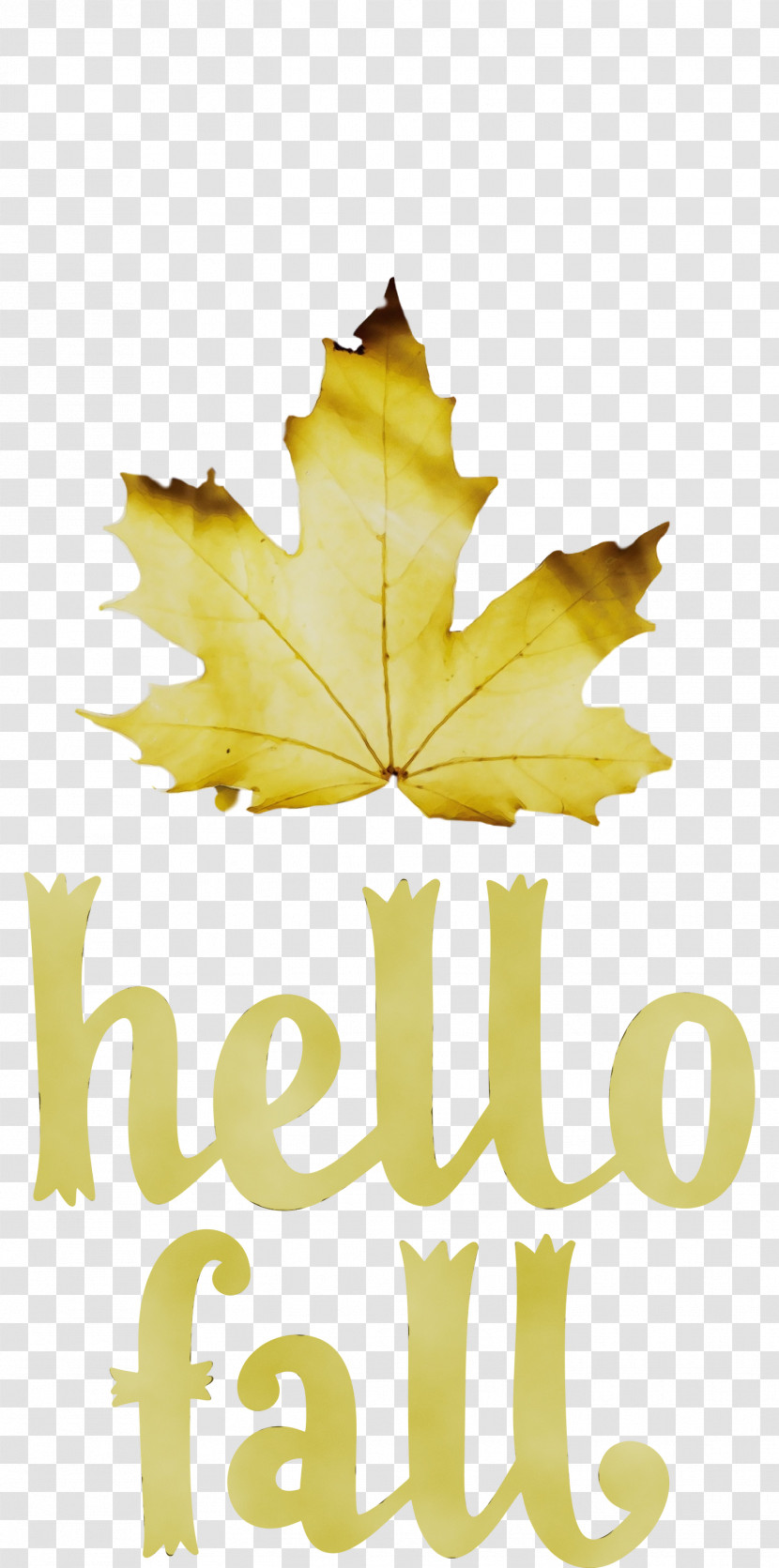 Leaf Maple Leaf / M Yellow Font Tree Transparent PNG