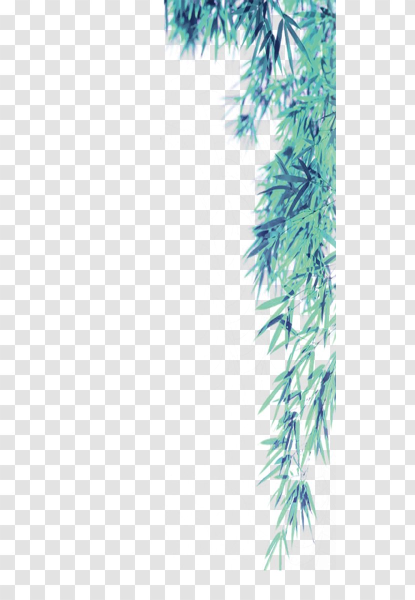Bamboo Green - Spruce Transparent PNG