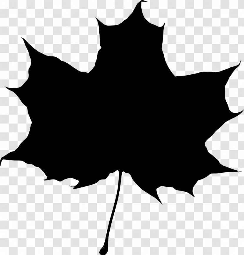 Maple Leaf Drawing Silhouette - Falling Transparent PNG