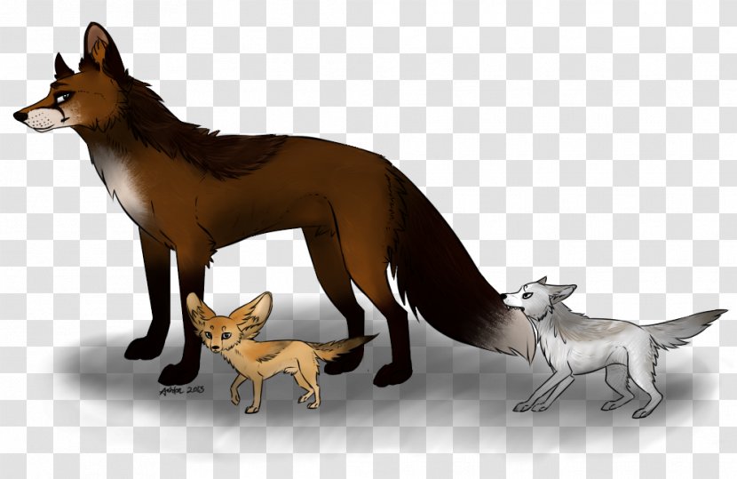 Whiskers Red Fox Cat Dog Breed - Small To Medium Sized Cats Transparent PNG