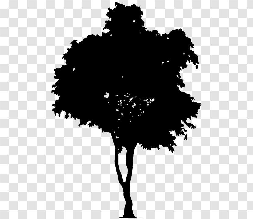 Silhouette Vector Graphics Clip Art Tree - Drawing Transparent PNG