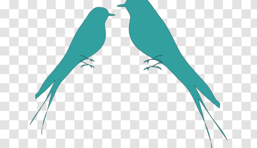 Parrot Grey-headed Lovebird Clip Art Budgerigar - Bird - Sparrow Symbol Transparent PNG