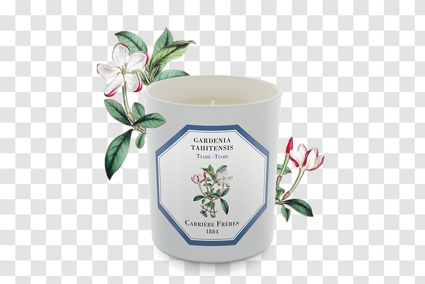 Gardenia Taitensis Candle Perfume Orange Blossom Grasse Transparent PNG