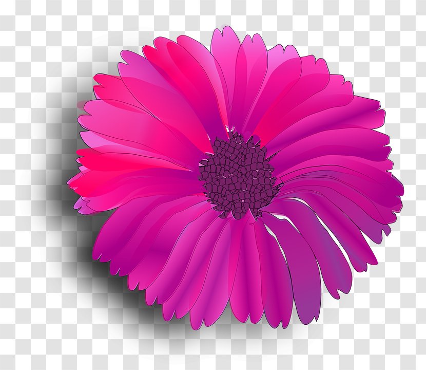 Pink Flowers Clip Art - Fuchsia - Flower Transparent PNG