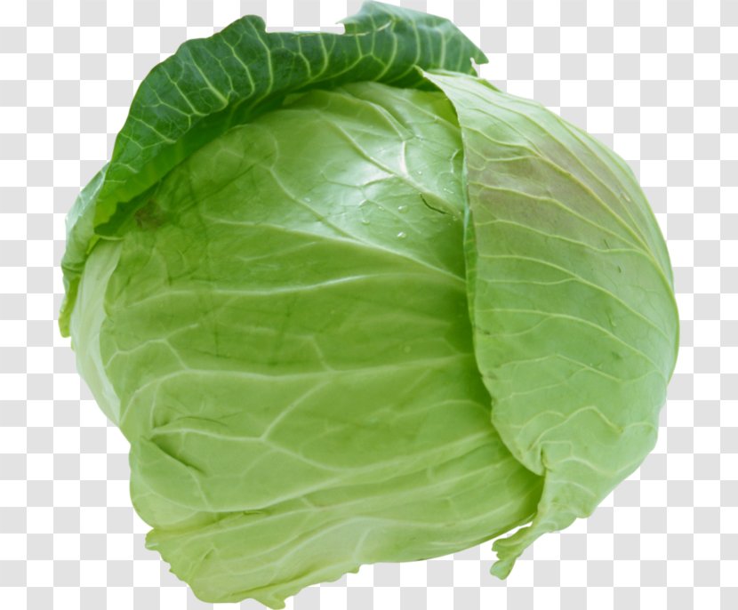 Savoy Cabbage Cauliflower Coleslaw Vegetable - Cruciferous Vegetables Transparent PNG