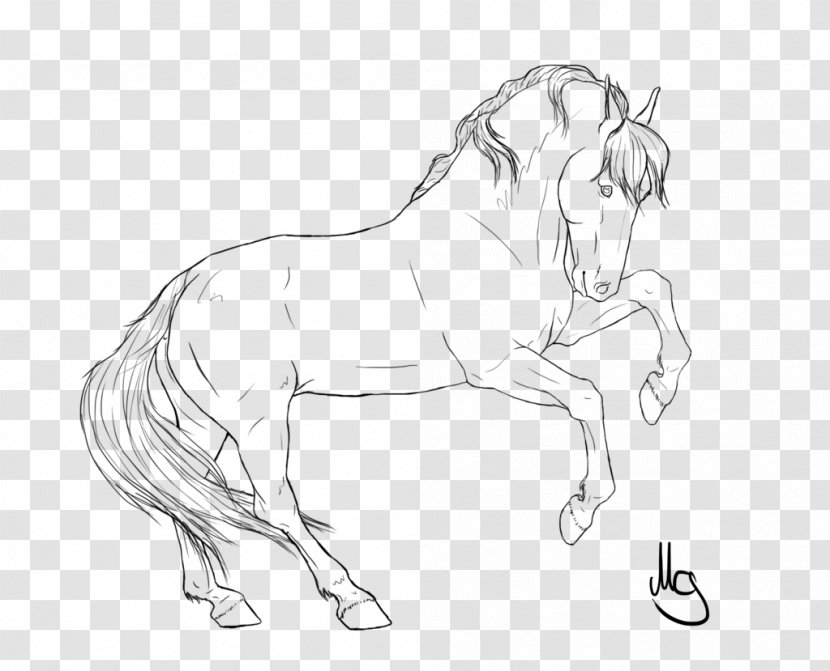 Wild Horse Drawing Line Art Pencil - Wildlife Transparent PNG