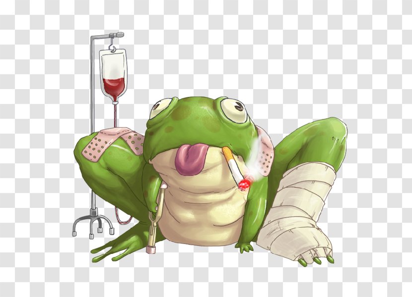 Frog Animation Cartoon Drawing Transparent PNG