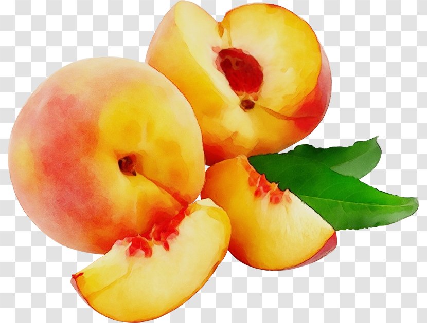 Natural Foods Fruit Food European Plum Plant - Apple Nectarines Transparent PNG