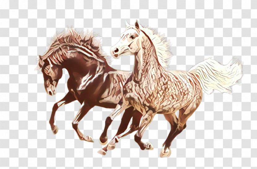 Horse Mane Stallion Animal Figure Drawing Transparent PNG