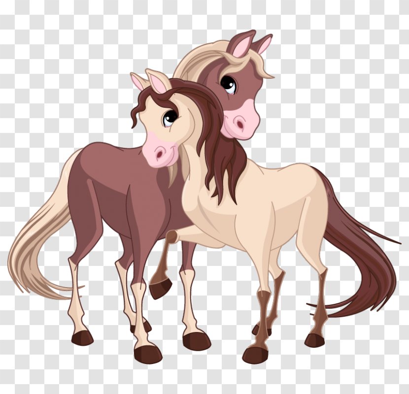 Cob Drawing Stock Photography Clip Art - Pony - Can Photo Transparent PNG