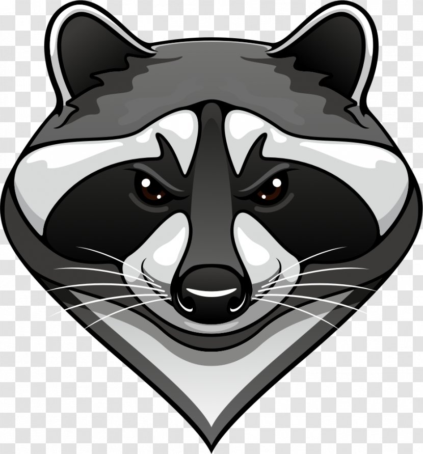 Raccoon Royalty-free Clip Art - Snout - Raccon Transparent PNG