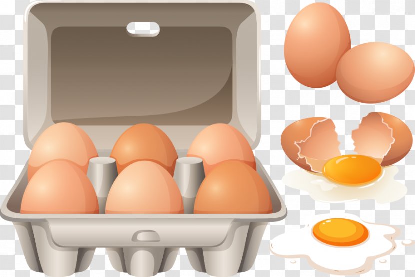 Scrambled Eggs Egg Carton - Cracked Vector Transparent PNG