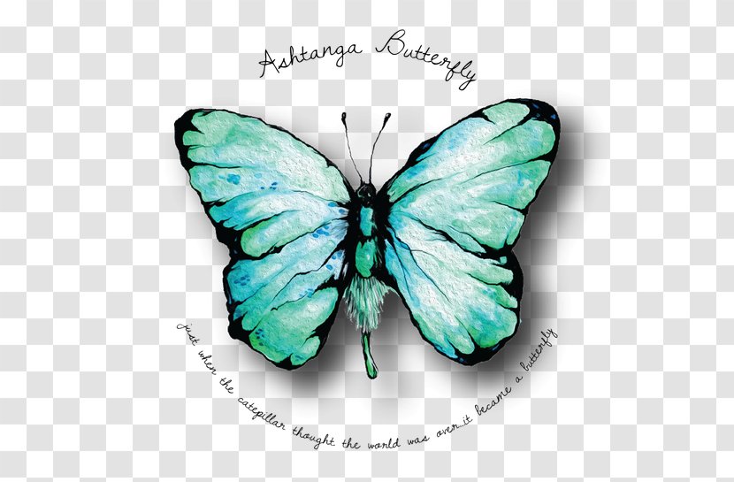 Brush-footed Butterflies Ashtanga Vinyasa Yoga Butterfly Gossamer-winged Transparent PNG