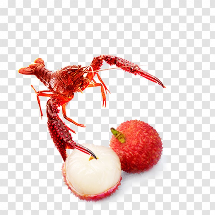 Seafood Poster - Food - Litchi Lobster Transparent PNG