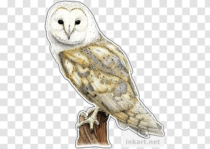 Great Grey Owl Bird Barn Transparent PNG