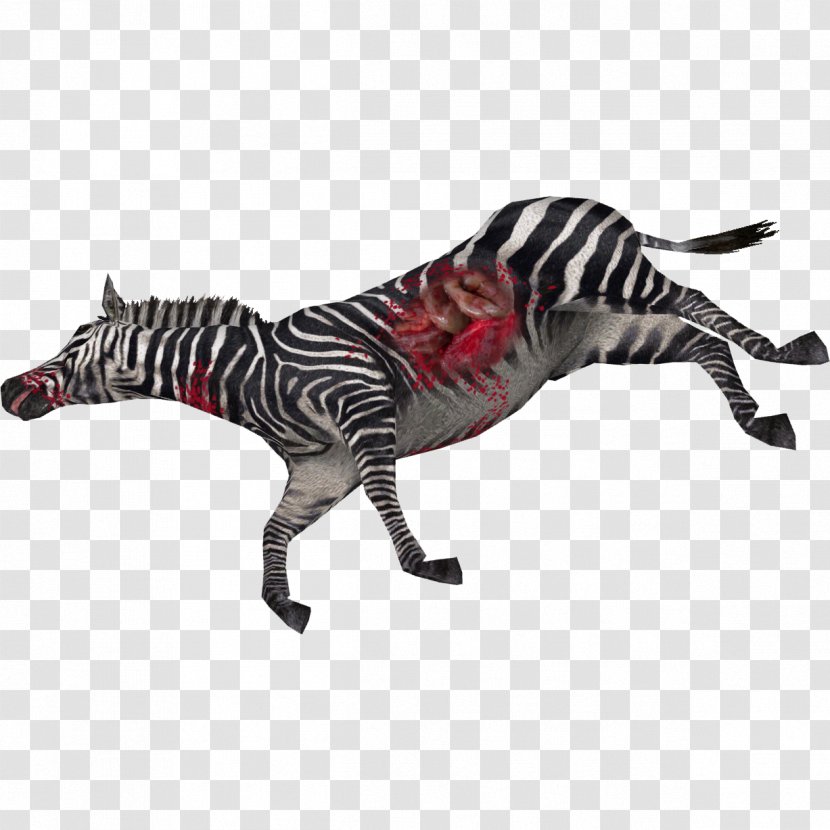 Zebra Clip Art - Animal - Deadanimal Transparent PNG