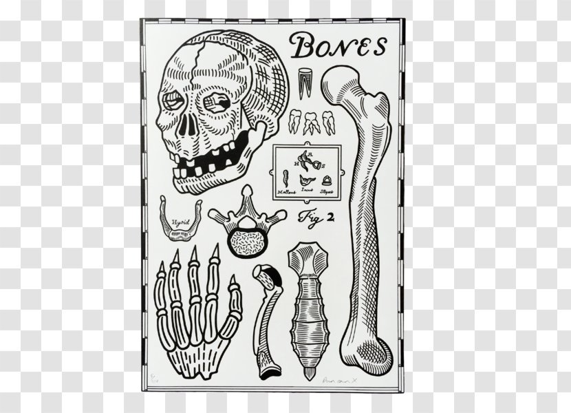 Homo Sapiens Visual Arts Human Behavior Sketch - Silhouette - Bones Prints Transparent PNG