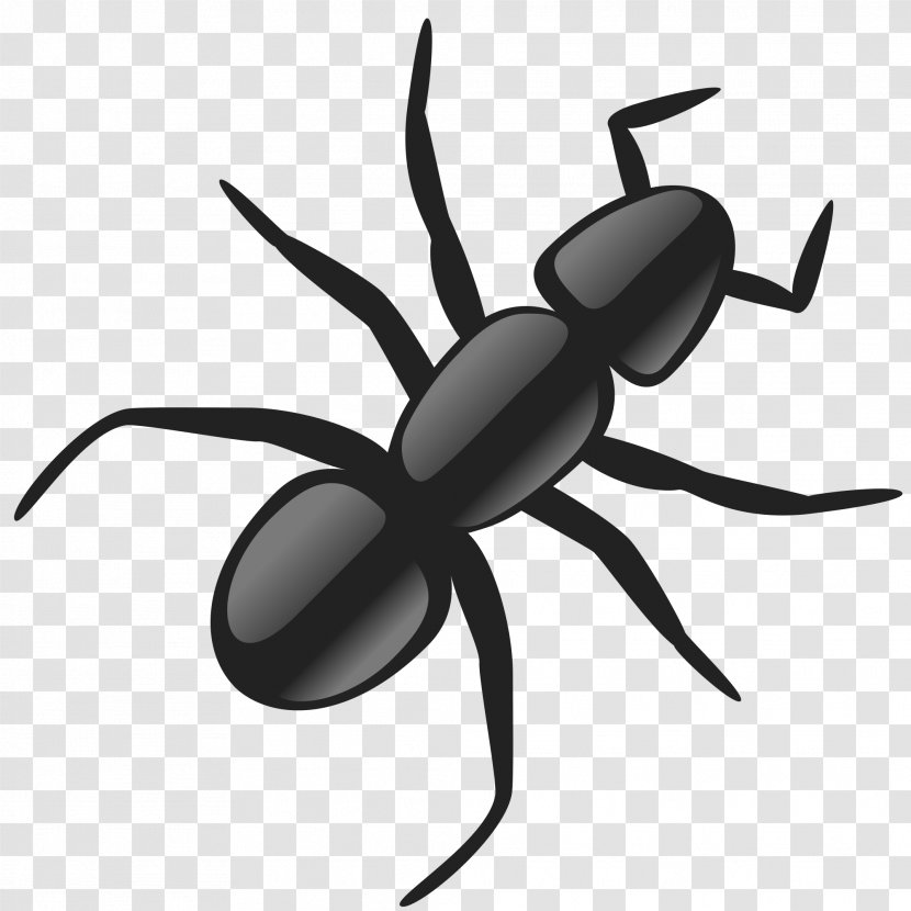 Ant Clip Art - Membrane Winged Insect - Black Widow Transparent PNG
