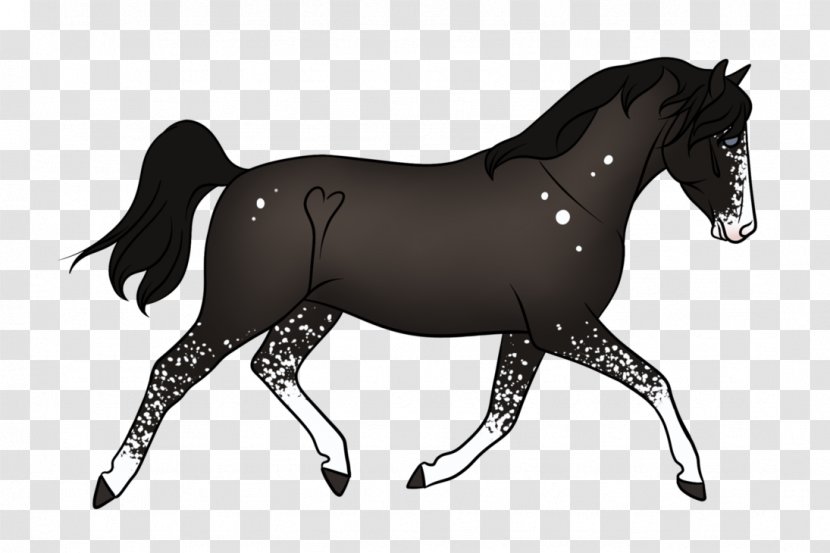 Mane Foal Stallion Pony Mustang - Neck Transparent PNG