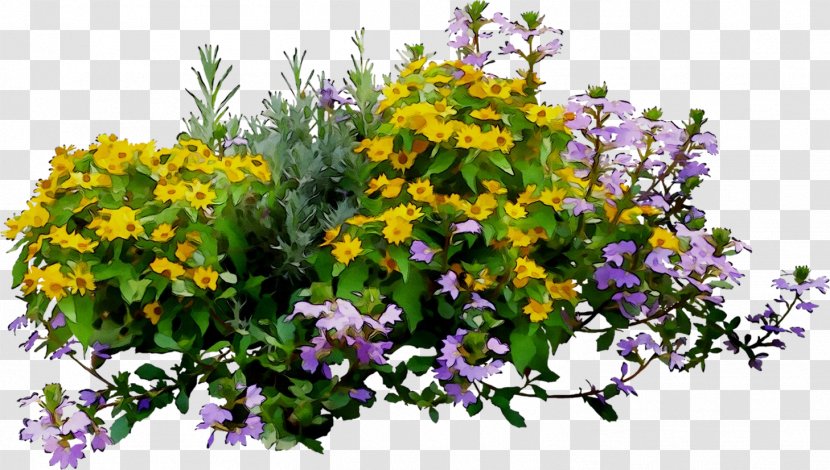 Violet Floral Design Annual Plant Purple - Buddleia Transparent PNG