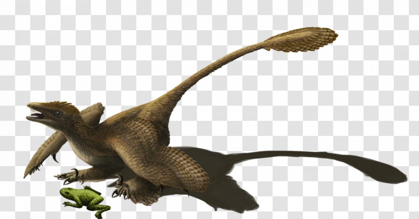 Velociraptor Sinornithosaurus Microraptor Utahraptor Reptile - Dinosaur Transparent PNG