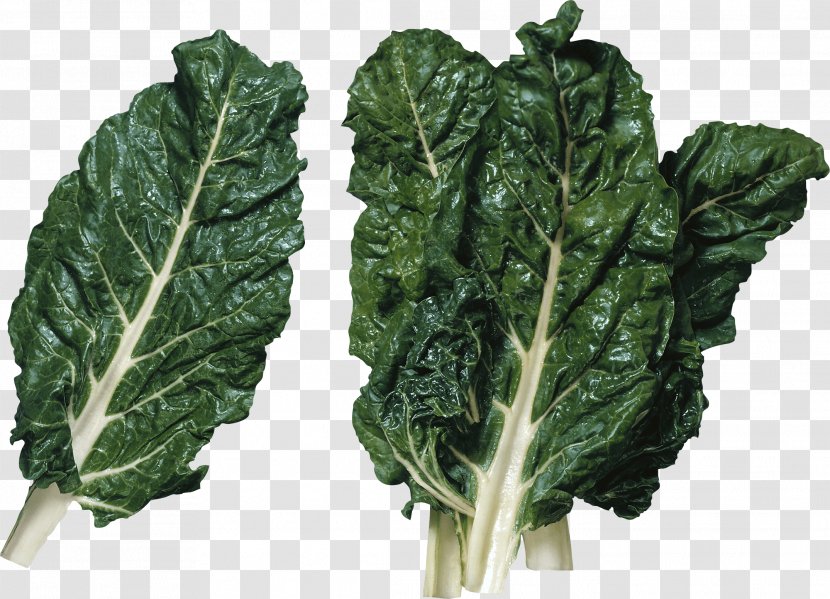 Lettuce Vegetarian Cuisine Salad Vegetable Produce - Spinach - Image Transparent PNG
