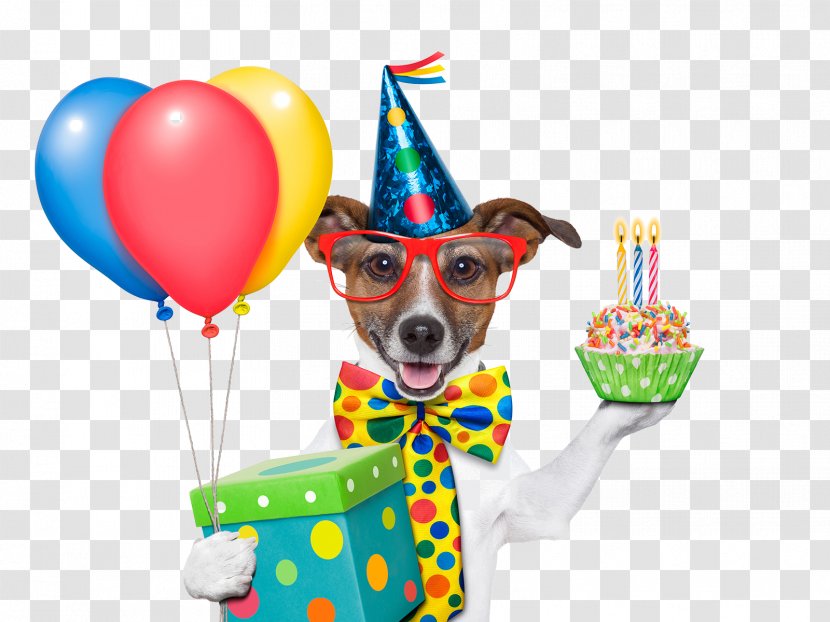 Wedding Invitation Birthday Cake Greeting Card Wish - Balloon - Dog Transparent PNG