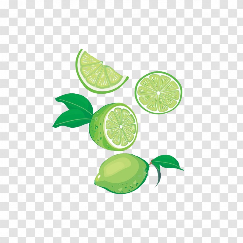 Lemon-lime Drink Juice - Lemonlime - Lime Transparent PNG