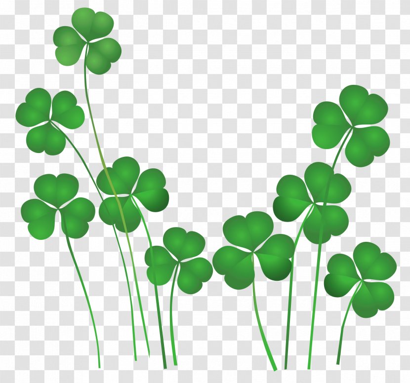 Saint Patrick's Day Shamrock Leprechaun Irish People Clip Art - Tree - St Patricks Shamrocks Decor PNG Clipart Transparent PNG