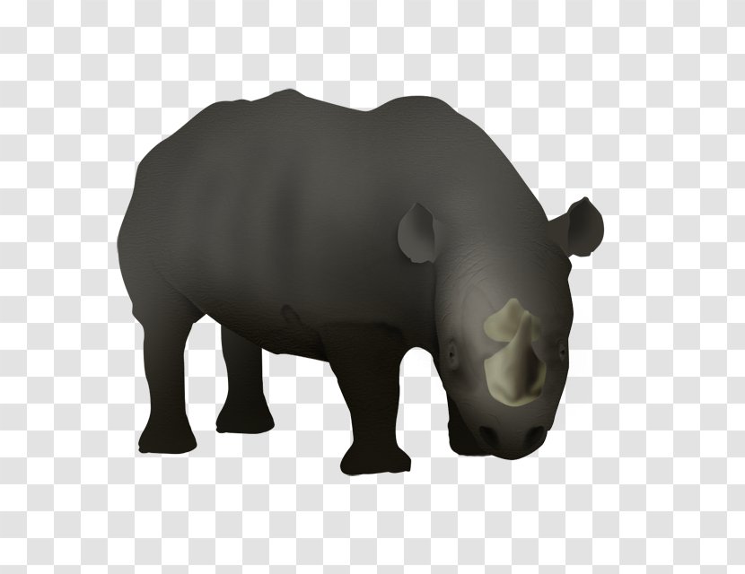 Rhinoceros Hippopotamus Bear - Wildlife Transparent PNG