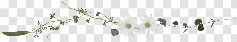 Grasses Line Art White Plant Stem Font - Flower Transparent PNG