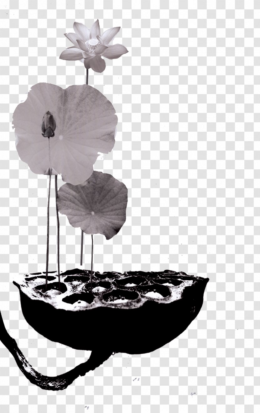Poster Chinoiserie - Black And White - Ink Lotus Effect Transparent PNG