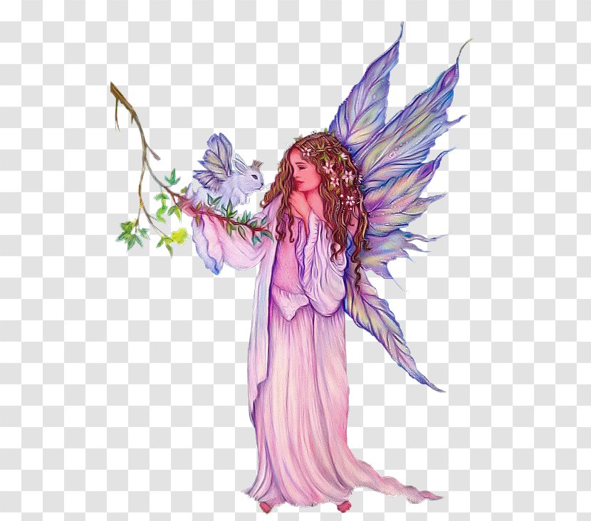 Fairy Drawing Elf Collections - Vis Transparent PNG