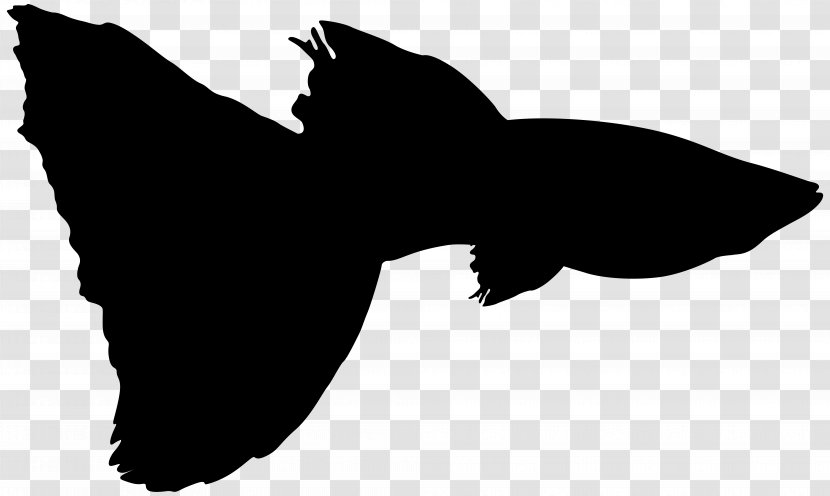 Clip Art Fauna Silhouette Beak Black M - Blackandwhite - Wing Transparent PNG