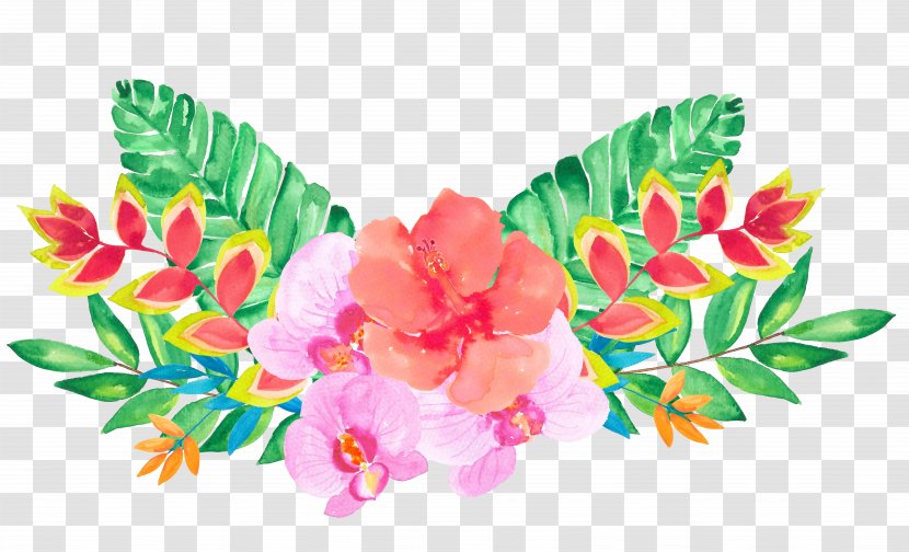 Floral Design Flower Illustration - Pink - Decoration Transparent PNG