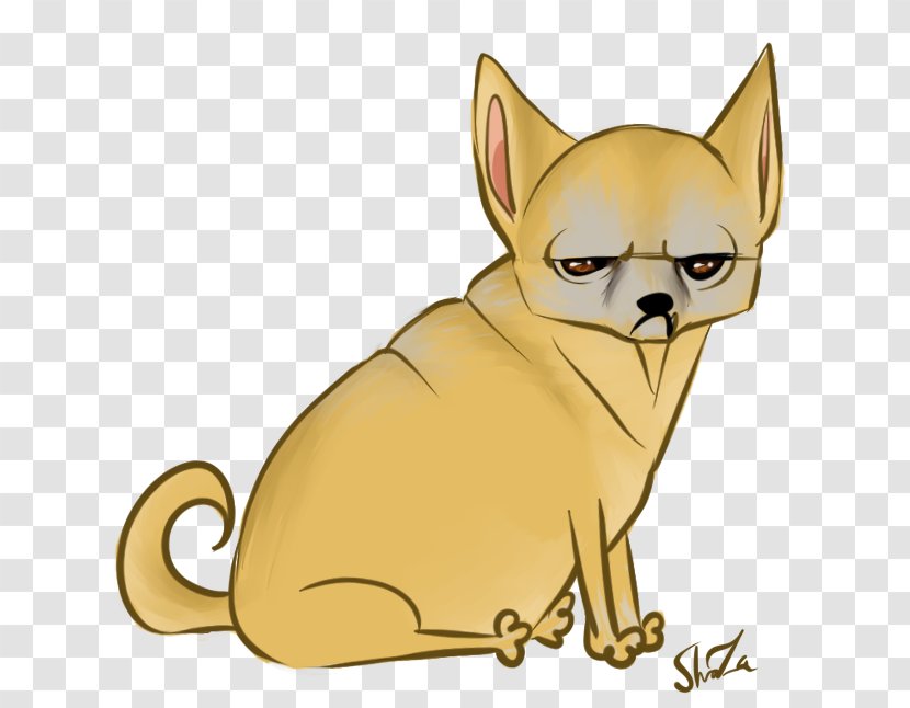 Chihuahua Pomeranian Cat Puppy Dog Breed Transparent PNG