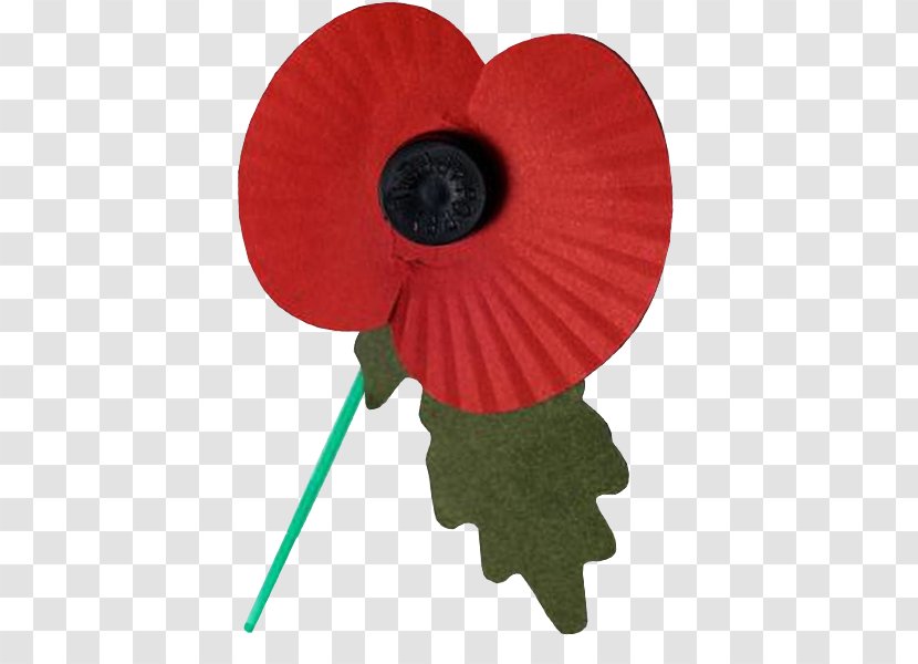 Remembrance Poppy Desktop Wallpaper Armistice Day - Flower - Remember Transparent PNG