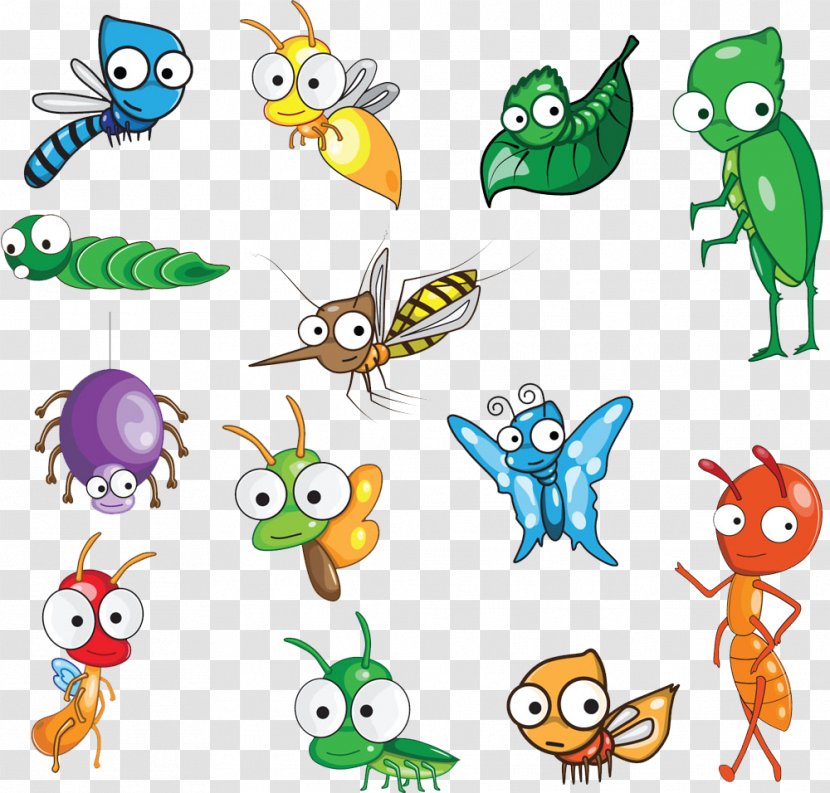 Insect Cartoon Drawing Clip Art - Collecting - Insects Transparent PNG